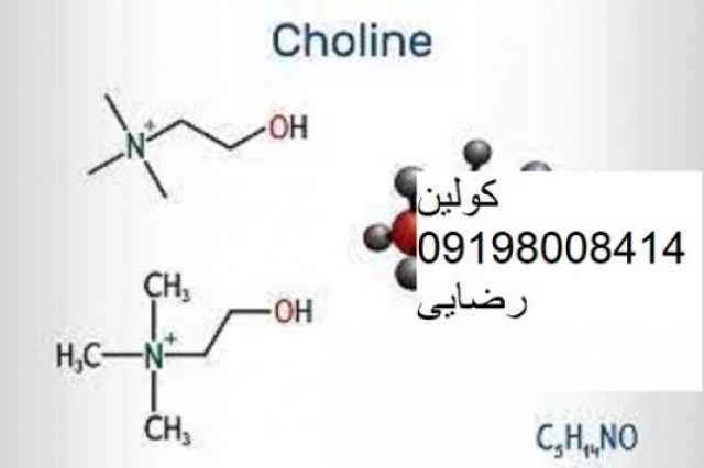 فروش كولين- كولين