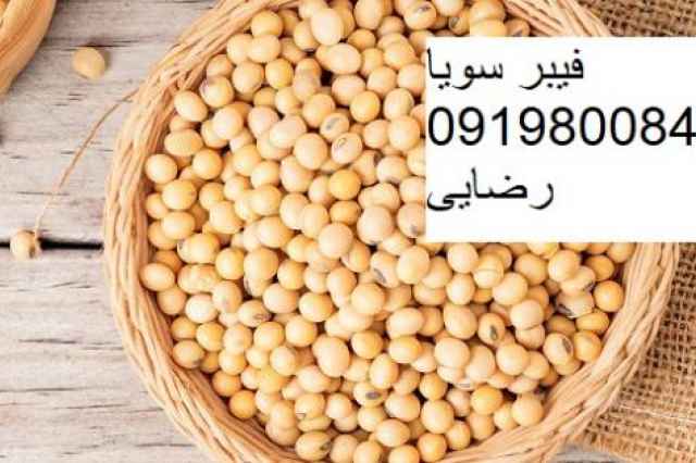 فروش فيبر سويا