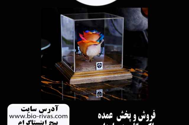پخش و فروش عمده گل رز جاودان در اصفهان