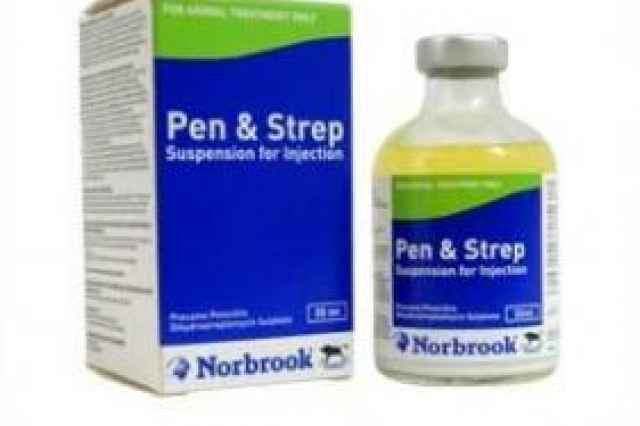 پنيسيلين/استرپتومايسين (Pen/Strep)