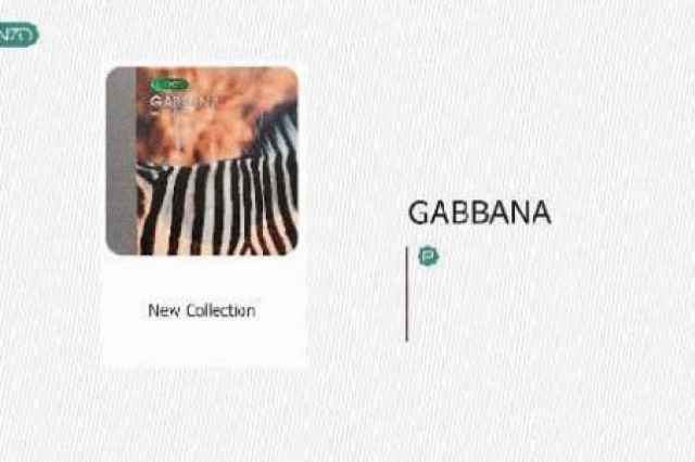 آلبوم كاغذ ديواري گابانا  GABBANA