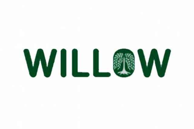 پاركت لمينت ويلو WILLOW